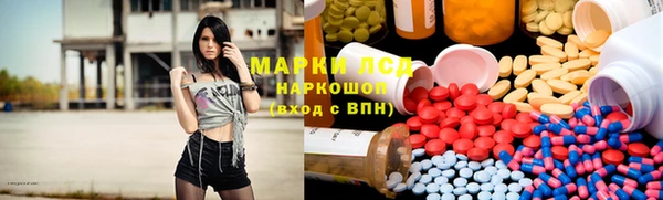 ешки Аркадак