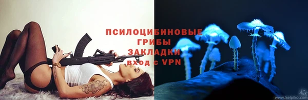 ешки Аркадак