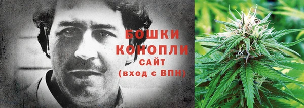ешки Аркадак