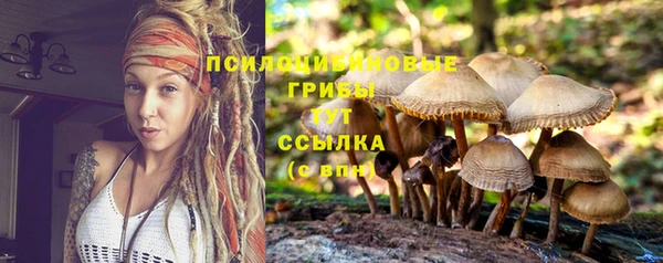 ешки Аркадак