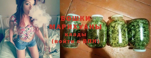 ешки Аркадак