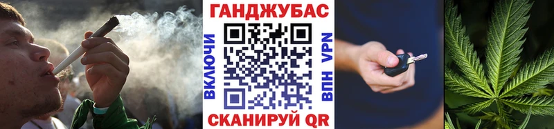 Канабис семена  Нефтекумск 